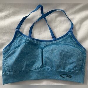 Champion Heather Blue Sports Bra